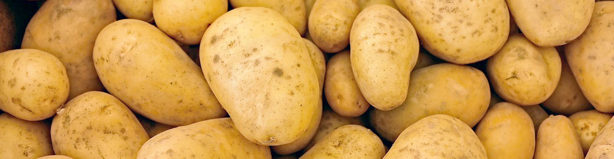 Patate