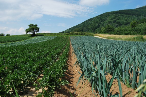 Val di Gresta