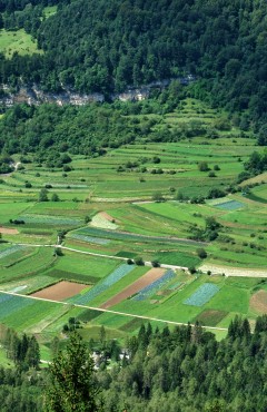 Val di gresta