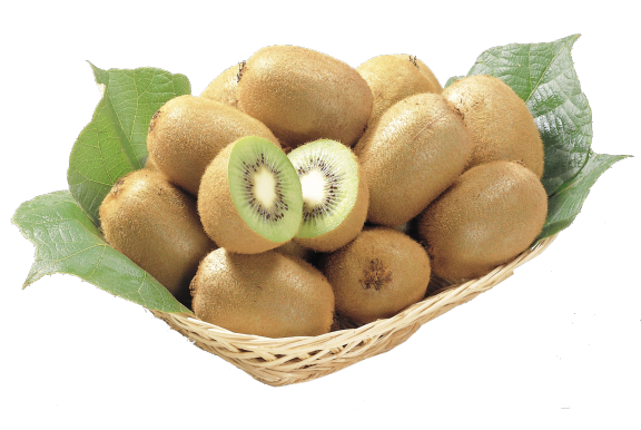 Kiwi