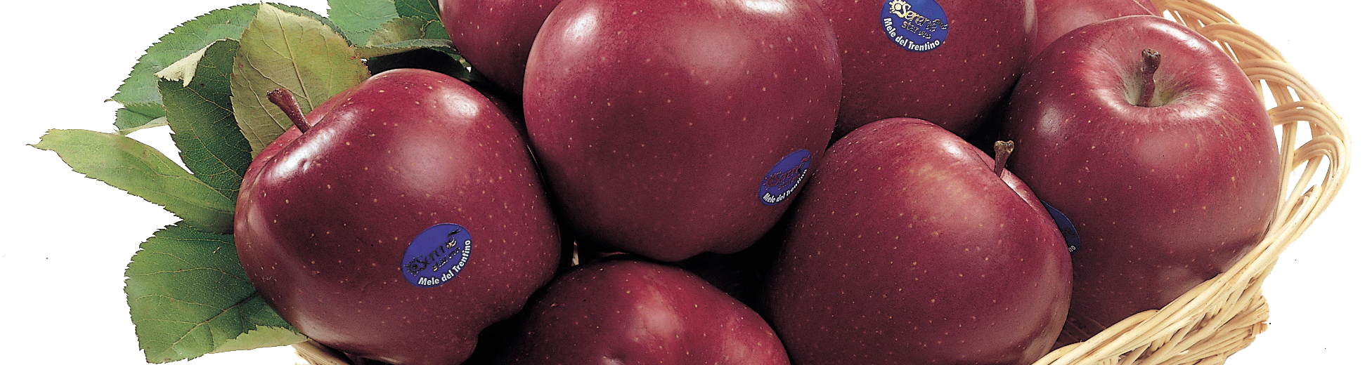 Red Delicious