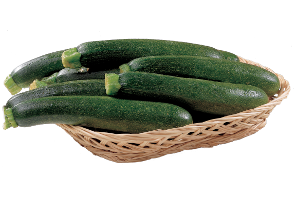 Zucchine